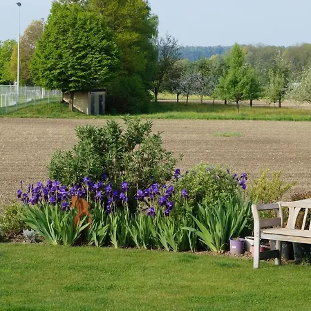 Strawberry Bermatingen